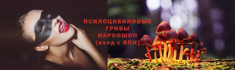 дарнет шоп  Зеленодольск  Галлюциногенные грибы Magic Shrooms 